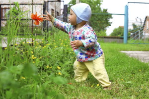 baby taken red flower and exploration nature